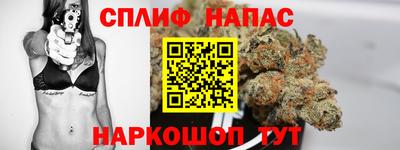 ешки Славгород