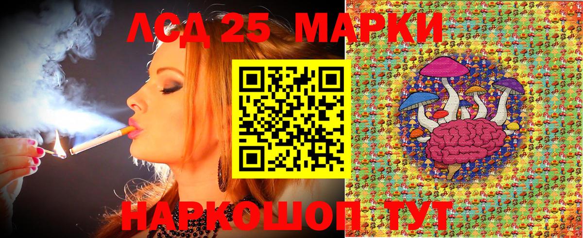 даркнет сайт  Вход с VPN  Наркотические марки 1,5мг  Анапа  Наркотические марки 1,5мг  Марки NBOMe 