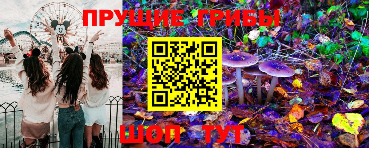Псилоцибиновые грибы Psilocybe  Вход с VPN  Анапа 